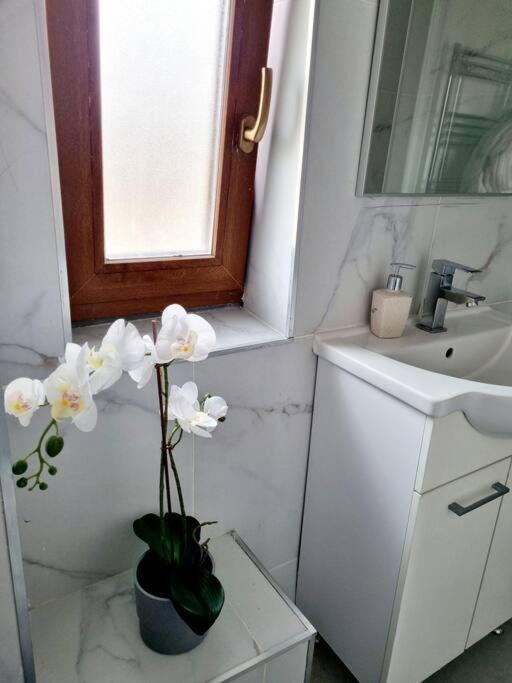 Cozy Apartment Near City Center Bukarest Exterior foto
